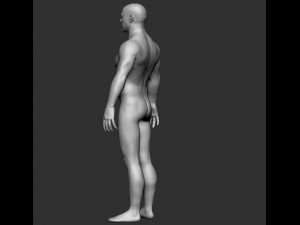 BASE MESH BODY MALE 3Dモデル