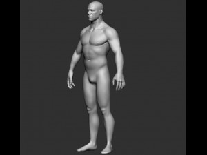 BASE MESH BODY MALE 3Dモデル