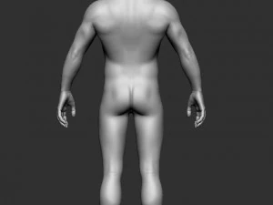 BASE MESH BODY MALE 3D Model
