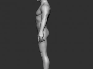 BASE MESH BODY MALE 3D Model