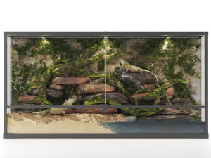 Terrarium Agama 3D मॉडल