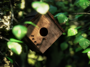 Birdhouse Nature Animation 3Dモデル