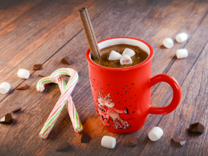Hot Cocoa Model 3D
