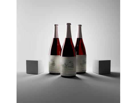 Bottiglia di vino Modello 3D