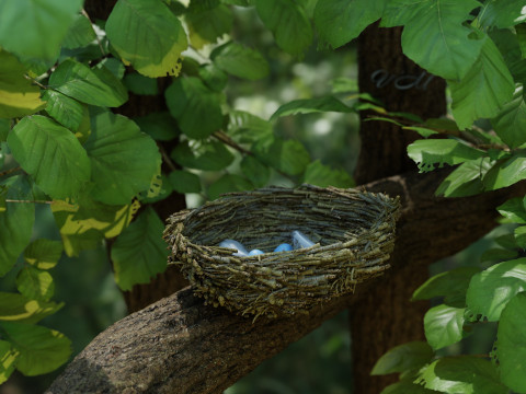 Bird Nest Nature Scene 3D 모델