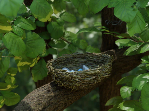 Scena natury gniazda ptaka Model 3D