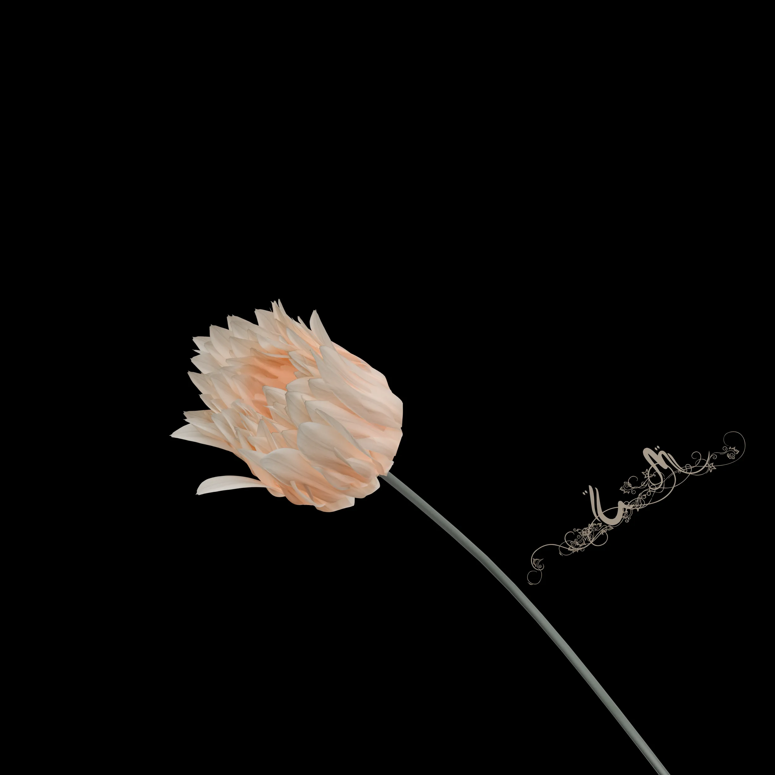 Blooming flowers 3D Model .c4d .max .obj .3ds .fbx .stl .blend 