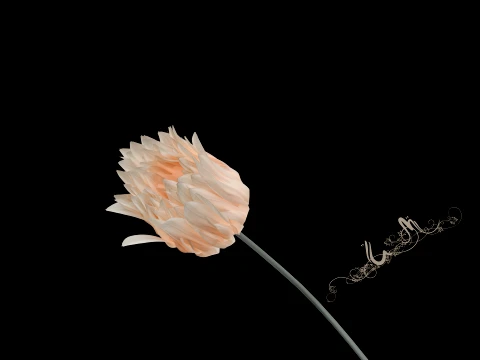 Blooming flowers 3D Model