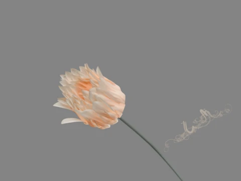 Blooming flowers 3D Model