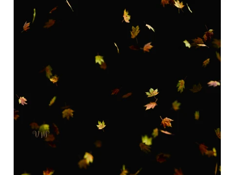 Falling Autumn Leaves 3D मॉडल