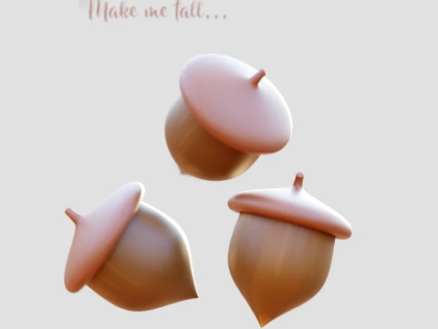 Acorns 3D Model