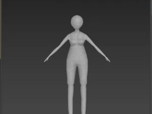 대표성여자 3D 모델