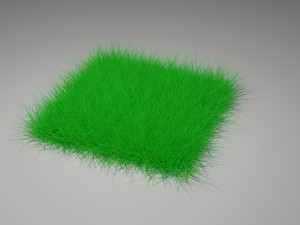 Green Grass Modello 3D