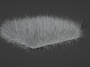 Green Grass Modello 3D