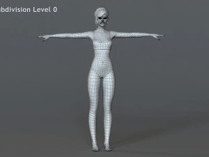 Female Base Rig with Outfit 3D Model