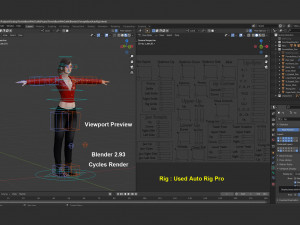 Female Base Rig with Outfit 3D-Modell