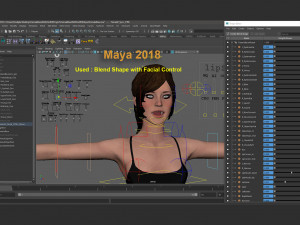 Female Base Rig with Outfit 3D-Modell