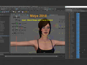 Female Base Rig with Outfit 3D Model