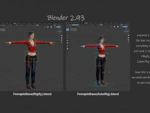 Female Base Rig with Outfit 3D Model
