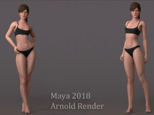 Male Female Base Rig 3D Model