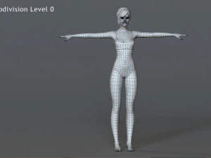 Male Female Base Rig 3D Model