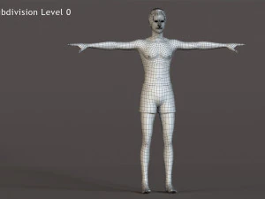 Male Female Base Rig 3D Model