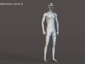 Male Female Base Rig 3D Model