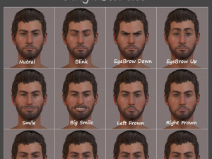 Male Female Base Rig 3D-Modell