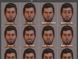 Male Female Base Rig 3D Model