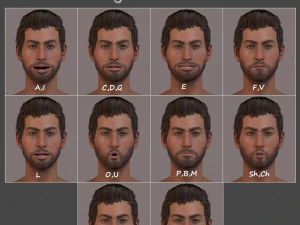 Male Female Base Rig 3D Model