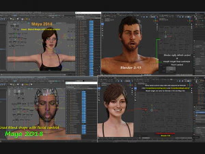 Male Female Base Rig 3D Model