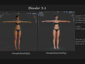 Male Female Base Rig 3D Model