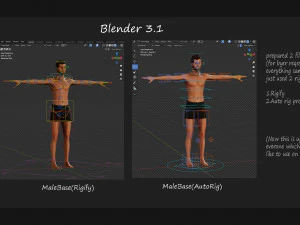 Male Female Base Rig 3D Model