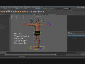 Male Female Base Rig 3D-Modell