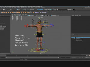 Male Female Base Rig 3D Model
