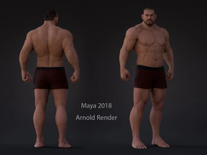 Male Base Heavy Rig 3D Model