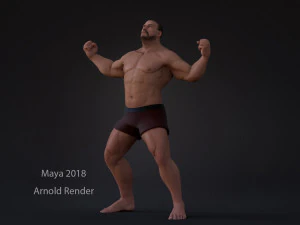 Male Base Heavy Rig 3D Model
