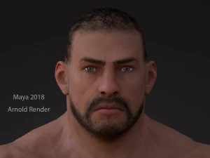 Male Base Heavy Rig 3D Model