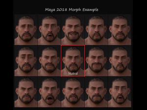 Male Base Heavy Rig 3D Model