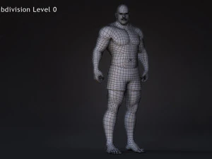 Male Base Heavy Rig 3D Model