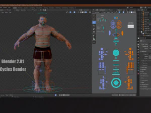 Male Base Heavy Rig 3D Model