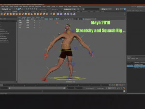 Male Base Heavy Rig 3D Model