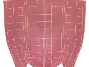 Violet Rig Ver2 3D Model