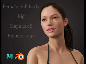 Женская база 3D Модель