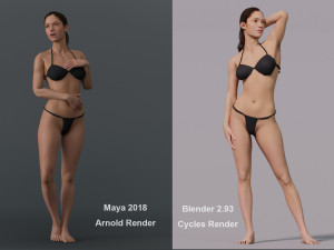 Female Base Model 3D