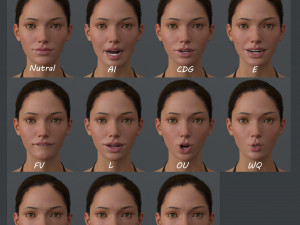 Female Base Model 3D