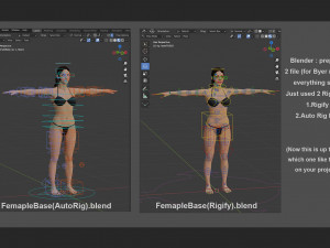 Female Base Model 3D