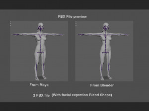 Female Base Model 3D