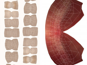 Female Base Model 3D