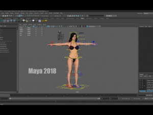 Female Base Black Hair Rig 3D 모델
